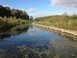 Зимёнка в окрестностях Передельцевского кладбища