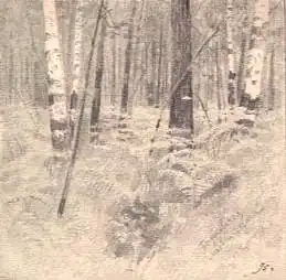 Богдановская лесная дача. 1895 год