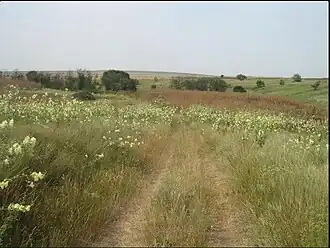 Урочище Кезы, место бывшего села