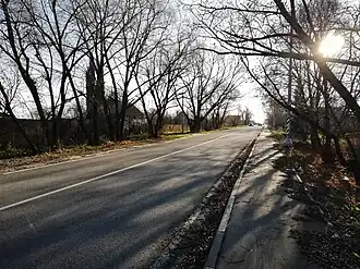 Дорога в селе Кишкино