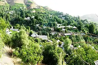 Вид на село (2014 г)