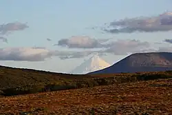 Ключевская сопка с берега Гаканаллина