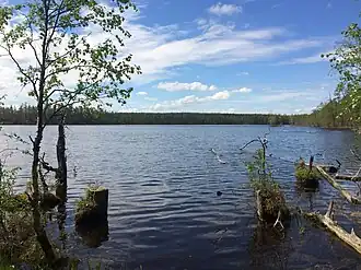 Северо-восточный берег озера