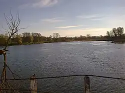 Пруд между Козинцами и Кохановкой