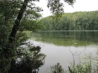 Конанъер в сентябре 2011 года