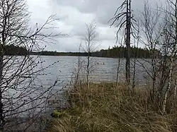 Северный берег.