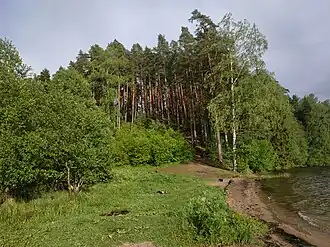 Котельский заказник