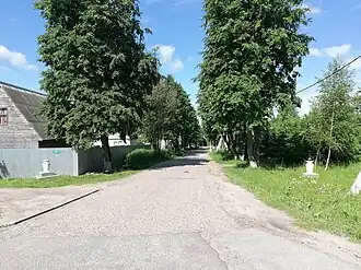 Улица в деревне Коровино