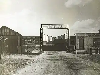 Костинский завод стеклянных изделий. 1968 год