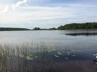 Вид из деревни Белая Гора