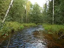 Река Кузьма