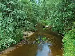 Река Кузьма с мостика