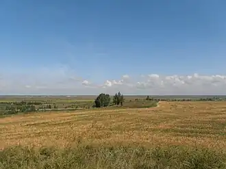 Круговая панорама с кургана Красногорский-1 возле села Красногорское