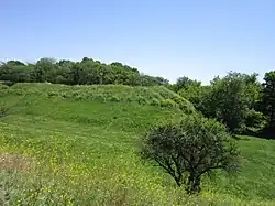 Остатки земляных укреплений