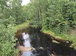 Вид по течению