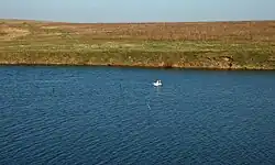 Серёна в Дорохово