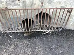 Ливнеприёмник открытого типа. Нижняя труба отводит воду напрямую в насосную часть, а верхняя — в коллектор.