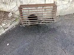 Второй ливнеприёмник с меньшей пропускной способностью.