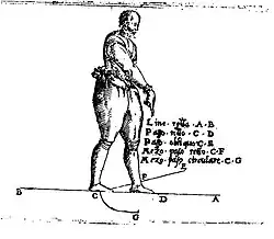 Линии смещений и ударов