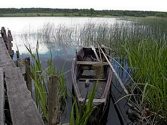 Лодка у берега озера