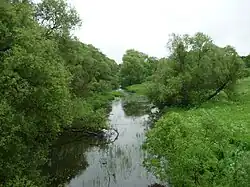 Лосмина в Сычёвке