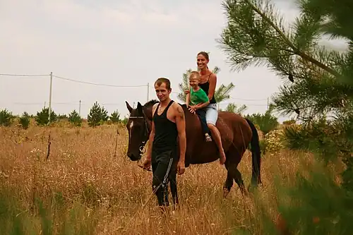 Катание на лошади в родовом экопоселении «Кореньские родники».