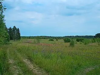 Луга́ недалеко от д. Донцо