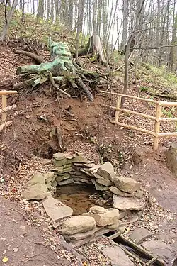 Родник на территории музея