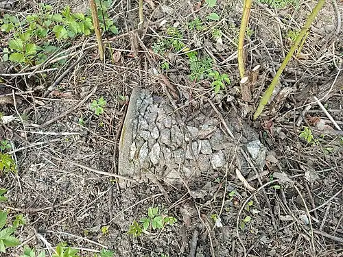 Часть надгробного памятника