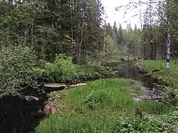 Река вблизи автодороги