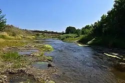 Среднее течение Малого Кинеля около деревни Лукинка летом 2021 года