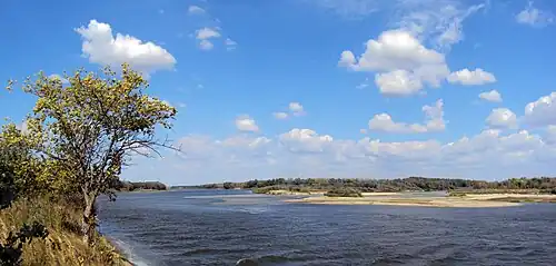 Река Медведица впадает в  Дон