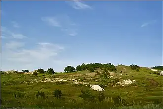 Меловые горы около Черемшаны № 1