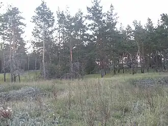 Место, где стоял Троицкий Битюцкий мужской монастырь.