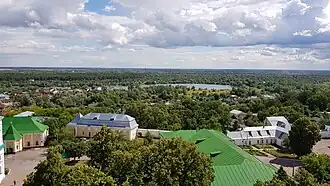 Вид на озеро и Лесковицу с колокольни Троицко-Ильинского монастыря