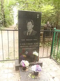 Могила Соболевского на Быковском кладбище Жуковского.
