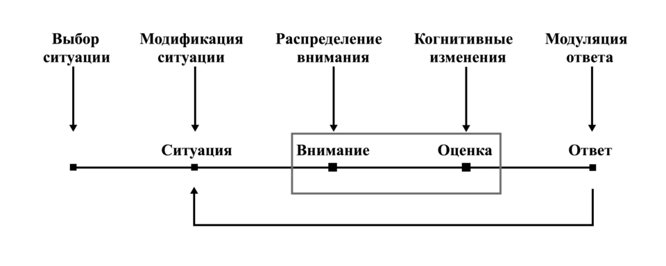 Процессуальная модель регуляции эмоций, с выделением пяти классов стратегий регуляции эмоций.
