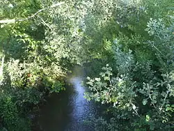 Вид на Ясеницу с моста летом 2009 года