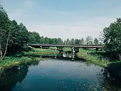 Низовье реки около деревни Устье