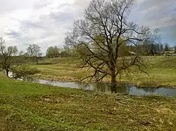 Река в селе Белая Колпь