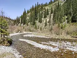 Среднее течение реки Кайынды около одноимённого озера весной 2023 года