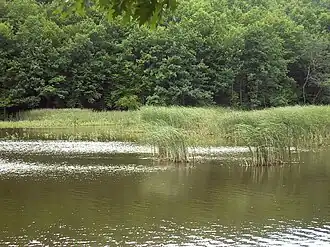 Горное озеро