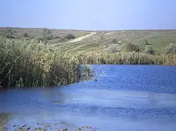 пруд на реке в селе Бургунка