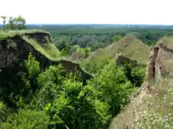 «Пирятинский»