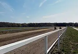 На Ульяновском ипподроме.