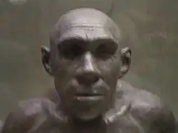 Неандерталец из грота Ла-Ферраси анфас