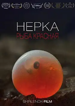 Постер фильма