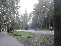 Нижняя улица - вид с Приморского шоссе. Слева виден сквер с памятником Раймонде Дьен.