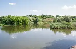 Река в селе Новоживотов