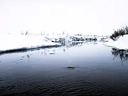 Ныгчеквеем в начале мая